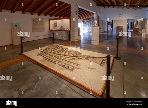 Mosaico De La Vivienda De Caius Lulius Silvanus Siglo III Museo