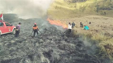 5 Fakta Terbaru Bukit Teletubies Bromo Kebakaran Akibat Flare Saat Foto