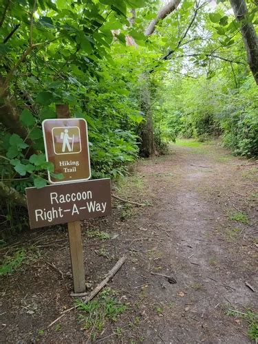 Best Hikes and Trails in Bayou Segnette State Park | AllTrails