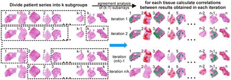 Cross Validated Imaging Ms Based Molecular Histology K Fold Download Scientific Diagram