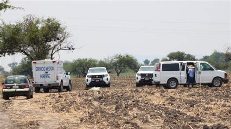 Suman En Guanajuato 14 Fosas Clandestinas Y 279 Cadáveres Identificados