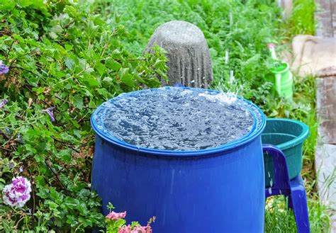 Filtración Del Agua De Lluvia Guía Práctica Para Un Recurso Sustentable En Casa Instituto Del