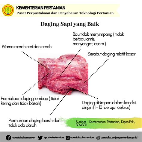 Tips Mengenali Daging Yang Baik