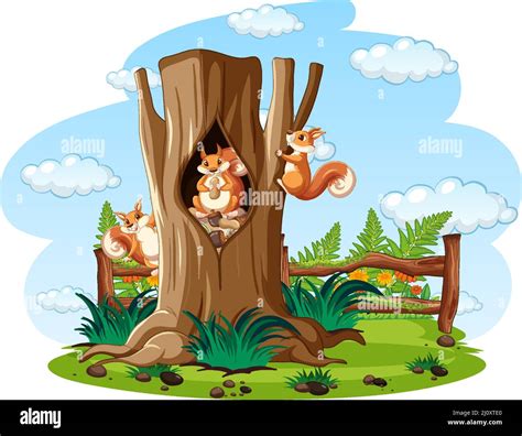 Three Squirrels Eating Nuts In Hollow Illustration Stock Vector Image