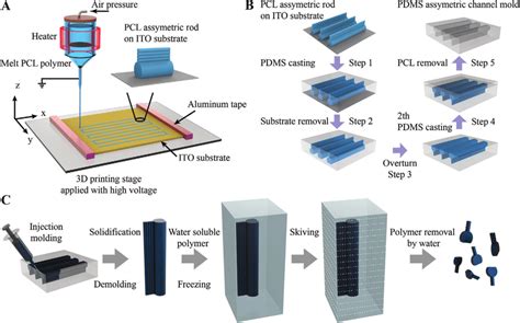 Schematic Fabrication Process Of Magnetic Tadpole Like Microrobots