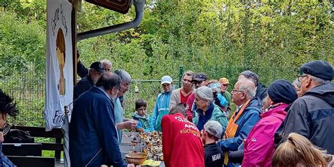 Wissen Bund Naturschutz Ebern Informiert Ber Eigenschaften Von Pilzen