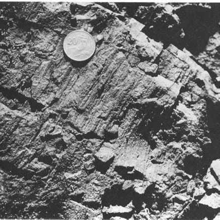 (PDF) Dike surface lineations as magma flow indicators within the ...