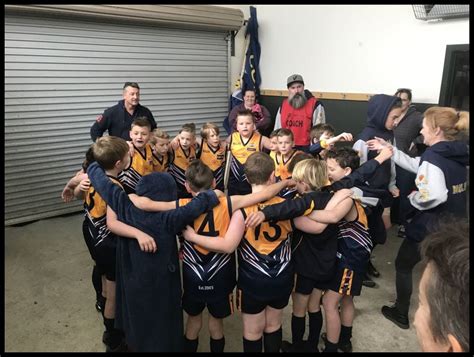 Admin Narre South Lions Junior Football Club