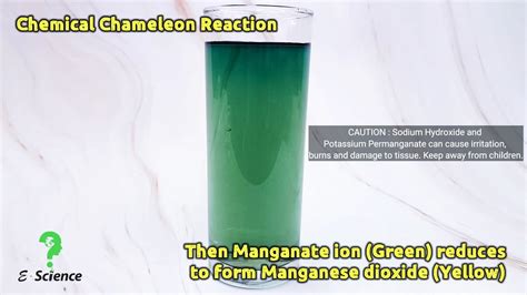 Chameleon Reaction Youtube