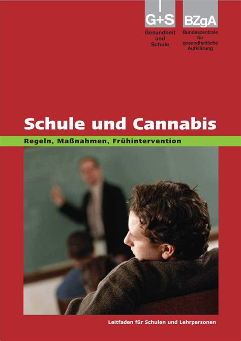 Pdf Schule Und Cannabis Li Hamburg Schule Und Cannabis Schule