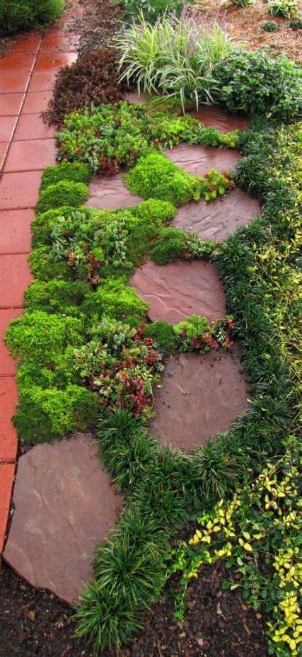 How To Grow Moss Between Pavers Paving Stones 56 Ideas Beautiful