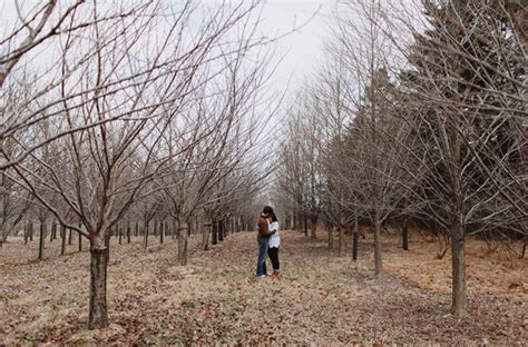 Christmas Tree Farm Proposal: Chelsea + Joe | Green Wedding Shoes ...