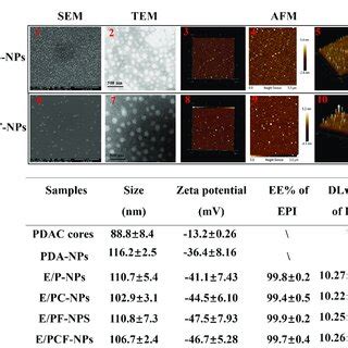 (A1) SEM image, (A2) TEM image, (A3) three-dimensional AFM topography ...