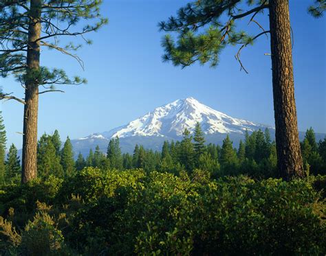 Mt Shasta travel | California, USA - Lonely Planet