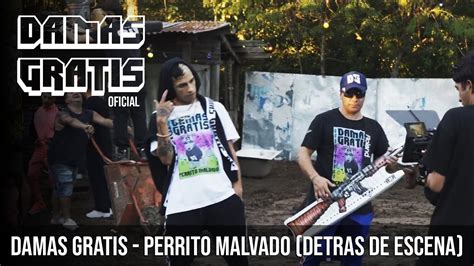 Damas Gratis Perrito Malvado Detr S De Escena Youtube