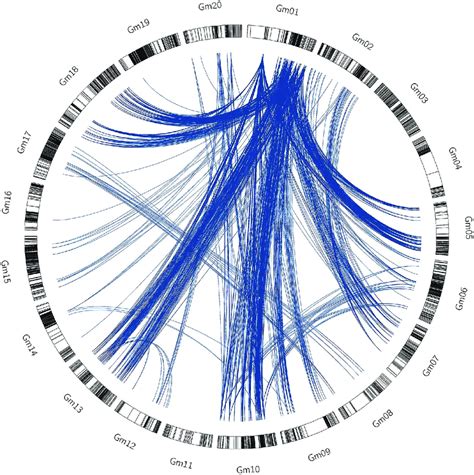 The Circle Represented The Whole Soybean Genome Blue Lines Represented