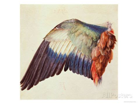 Wing of a Blue Roller 1512 Giclee Print Albrecht Dürer