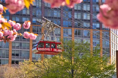 Roosevelt Island Cherry Blossoms (Complete Guide & Map)