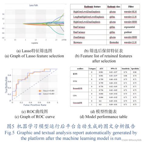 R语言机器学习之影像组学分析的原理详解 CSDN博客