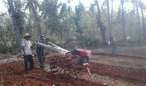 Seperti Inilah Babinsa Lenteng Beri Pemahaman Penggemburan Tanah