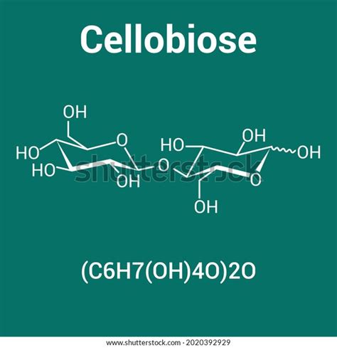 Cellobiose Structure