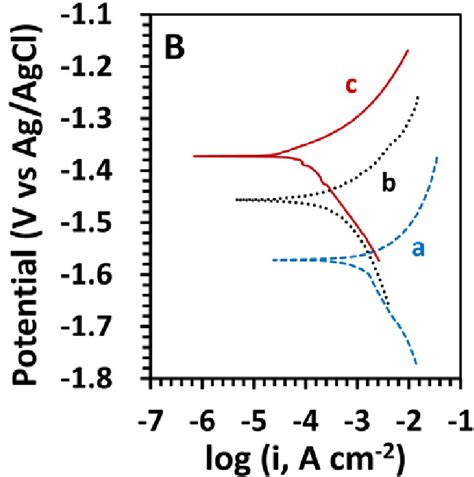 Potentiodynamic Polarization Curves Measured Immediately After Contact