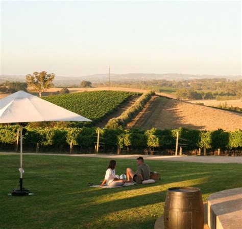 5 Best Wineries in Adelaide Hills, South Australia - Creative Travel Guide