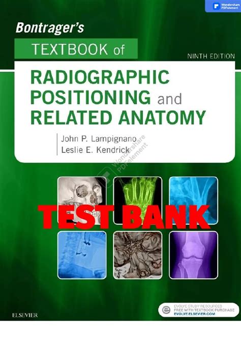 Bontragers Textbook Of Radiographic Positioning And Related Anatomy