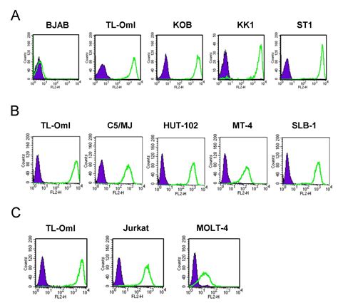 Elevated Expression Of Cd30 In Adult T Cell Leukemia Cell Lines