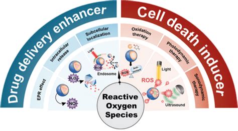 Nanomedicines For Reactive Oxygen Species Mediated Approach An