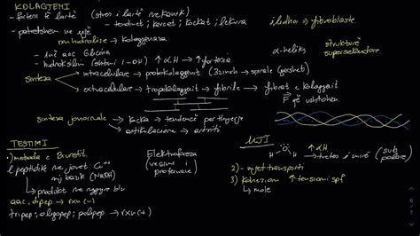 Proteinat II |M6, K1, Biologji| - YouTube