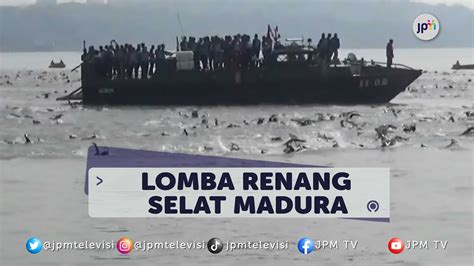 Ratusan Perenang Ikut Loba Renang Selat Madura YouTube