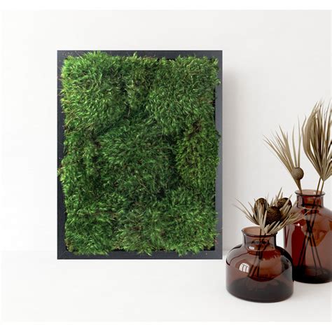 Moss Pure Live Moss Air Filter In Black Wayfair