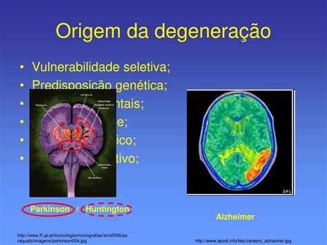 Ppt Fármacos Utilizados No Tratamento De Doenças Neurodegenerativas