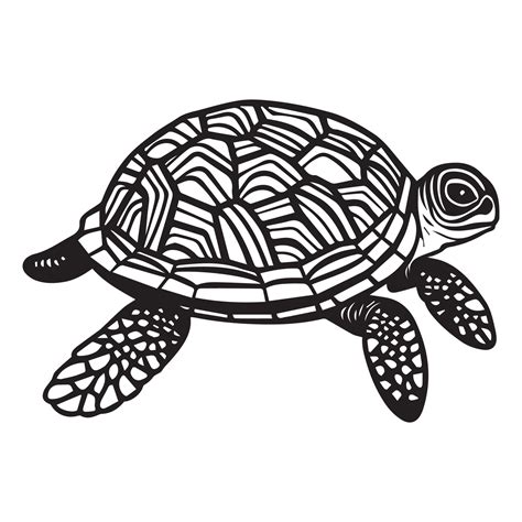 Tortoise Clipart Black And White