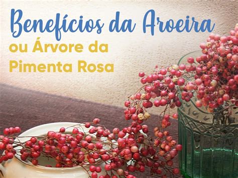 Benef Cios Da Aroeira Ou Rvore Da Pimenta Rosa