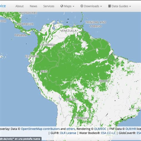 Crean Un Mapa De Los Bosques De Toda La Tierra Con Una Resoluci N De