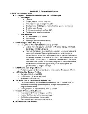 Chapter Neurophysiology The Generation Transmission And Integration