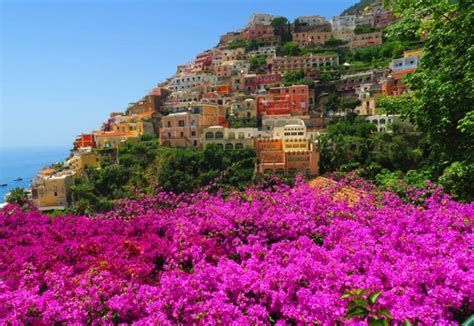 Amalfi coast bougainvillea flowers - Positano | X days in Y