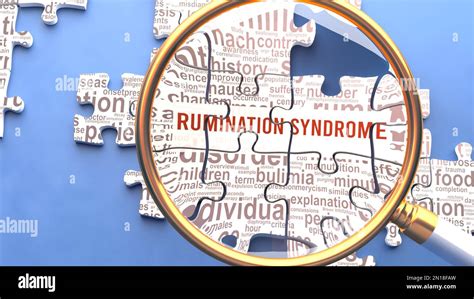 El S Ndrome De Rumiaci N Como Un Tema Complejo Bajo Inspecci N Cercana