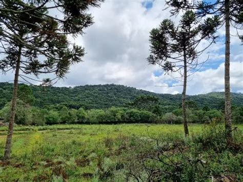 Fazenda S Tio M Em Zona Rural Em Urupema Por R