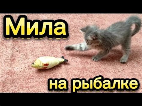 Мила на рыбалке😊 - YouTube