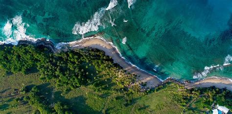 Hectare Ocean Front