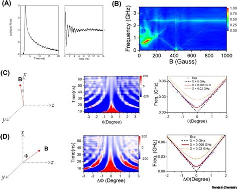 Magnetic Field Effects On Singlet Fission Dynamics Trends In Chemistry