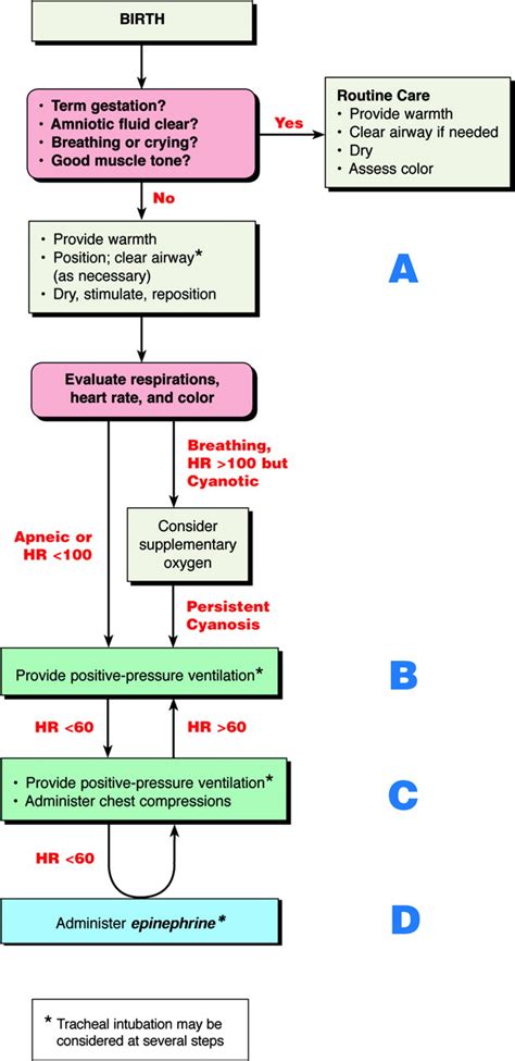 Part 7 Neonatal Resuscitation Circulation