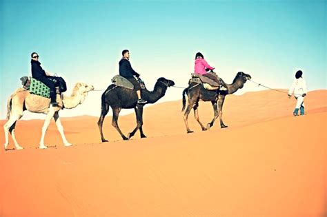 Overnight Camel Ride In The Sahara Desert Merzouga Gowithguide