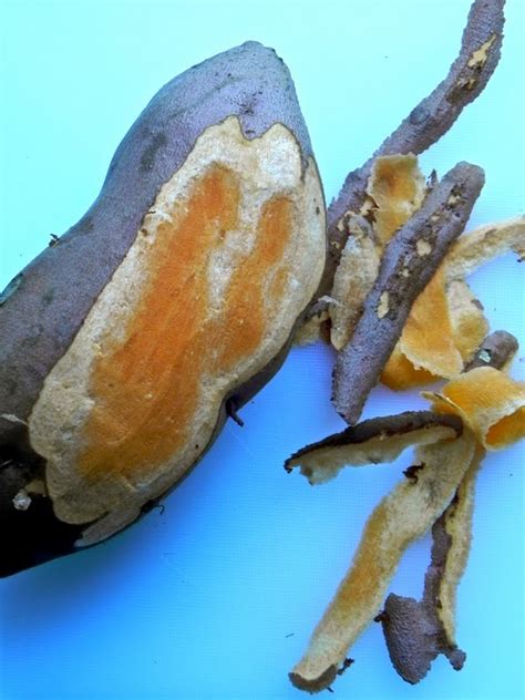 The Rosiest Cheeks Naked Sweet Potato Fries