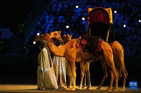 ДАШТ-ний нээлт ба эхний тоглолт - mongol.china.com
