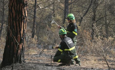 Torroella Tanca Lacc S Al Mass S Del Montgr Per Lalt Risc Dincendi