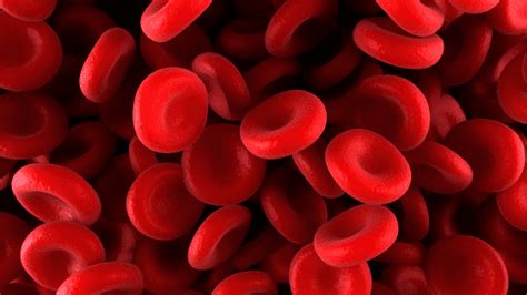 components  blood activity   blood model   jar  kids